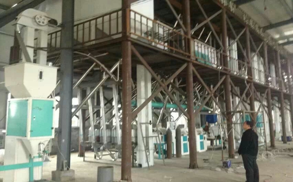 玉米糁加工设备
