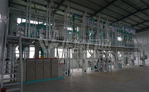 湖北日产50吨玉米深加工设备客户安装试机现场